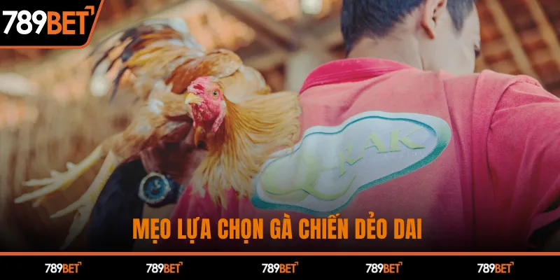 Mẹo lựa chọn gà chiến dẻo dai&nbsp;
